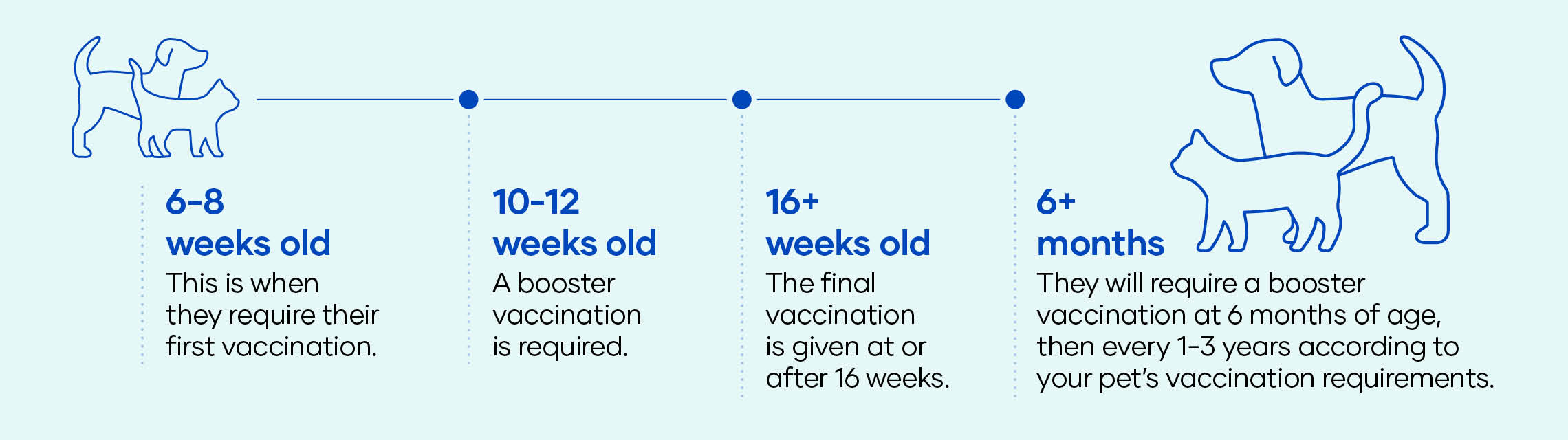 Vaccinations and your pet